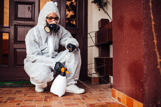 Reliable Cockroach Control contractor in Hebron Estates, KY by Nex Pest Control